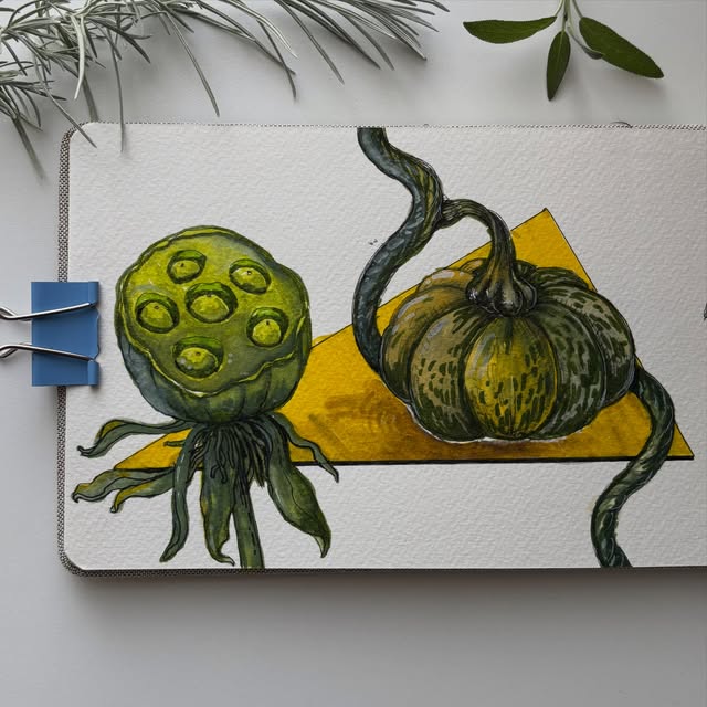 Lotus pod and pumpkin study